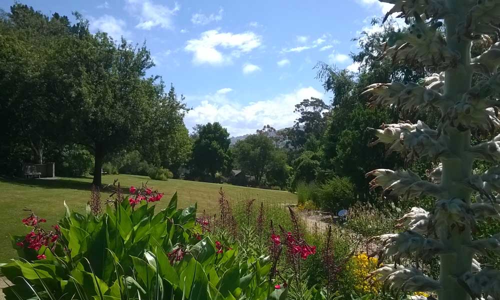 Friendship Lawn, near Aviary