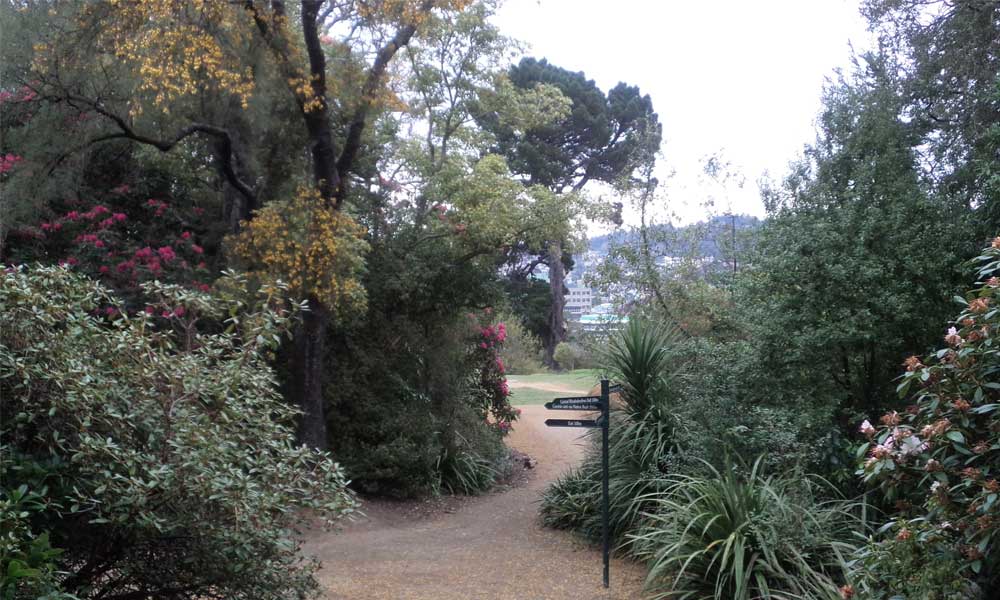 Rhododendron Dell South Lookout