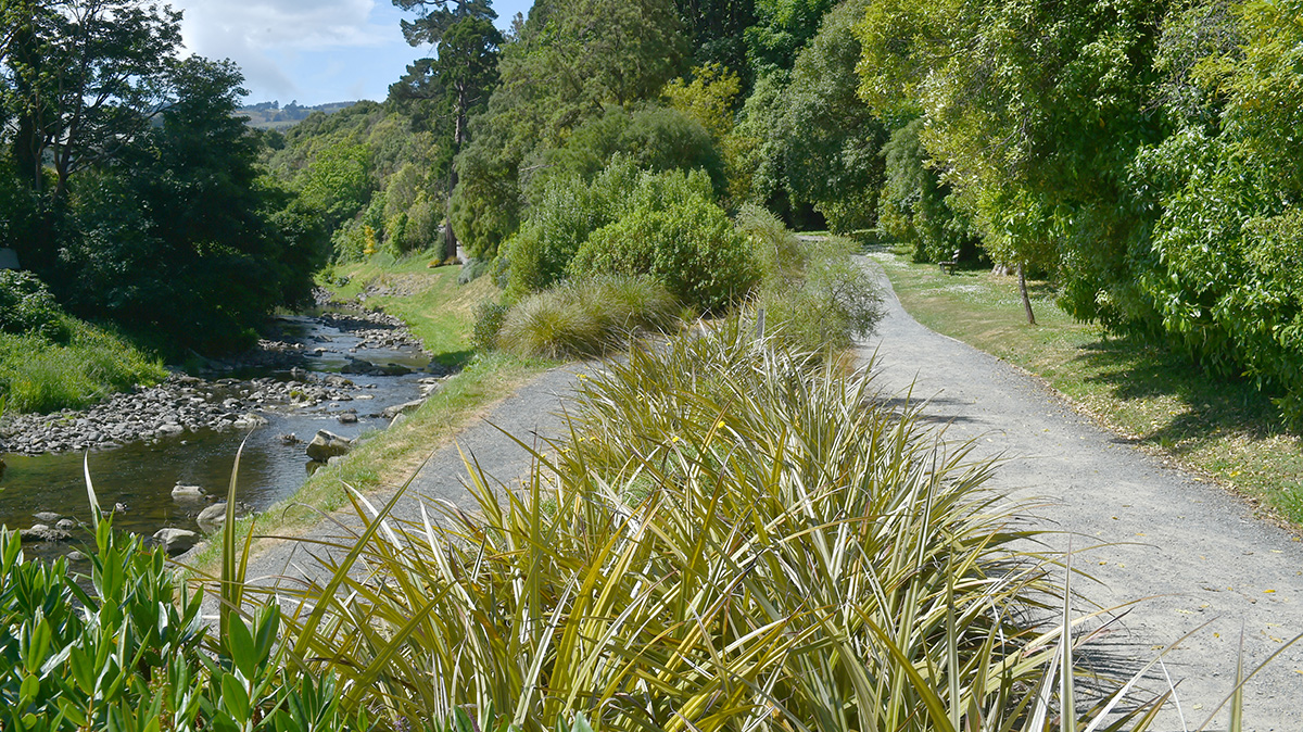Hillside Bush with Leith tracks.